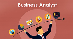 Business Analyst